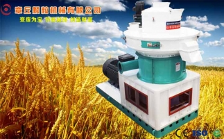 中國(guó)創(chuàng)新提速，綠色經(jīng)濟(jì)之離心高效環(huán)模顆粒機(jī)