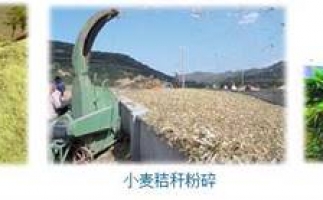 農(nóng)民科學(xué)發(fā)展新思路，秸稈綜合利用成為賺錢好門路之秸稈顆粒機(jī)
