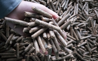 鋸末顆粒機(jī)顆粒，一種快速增長的能源載體