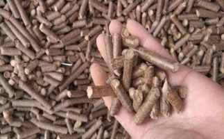 鋸末顆粒機(jī)生物質(zhì)燃料與燃煤對(duì)比情況如何？