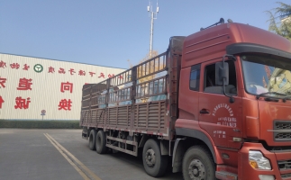 忙碌的五月，忙碌的發(fā)貨，金格瑞顆粒機生產線發(fā)往全國各地