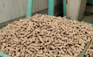 在燃燒時，水分大的生物質顆粒會出現哪些問題？