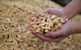 黟縣洪星鄉(xiāng)：“鋸末顆粒機(jī)的小顆?！睋Q來(lái)綠富雙贏