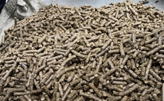 鋸末顆粒機(jī)的顆粒燃料比煤炭貴，為什么還有那么多人用？