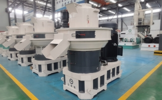 現(xiàn)在鋸末顆粒機(jī)的行情怎么樣？