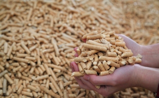 鋸末顆粒機(jī)生物質(zhì)顆粒，你需要知道的常識(shí)問題