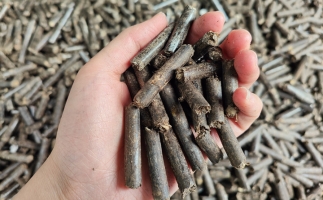 生物質(zhì)顆粒燃料公司前景怎么樣，木屑顆粒機的顆粒燃料賣給誰的？